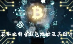 如何获取比特币钱包地址及其图片介绍